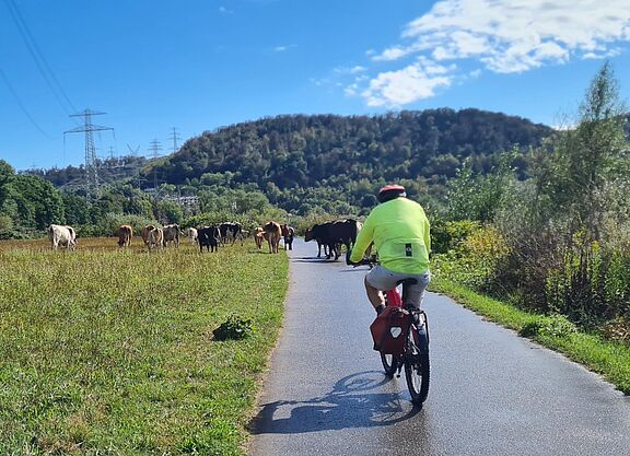 Tierische Begegnung am Ruhrtalradweg Tierische Begegnung am Ruhrtalradweg