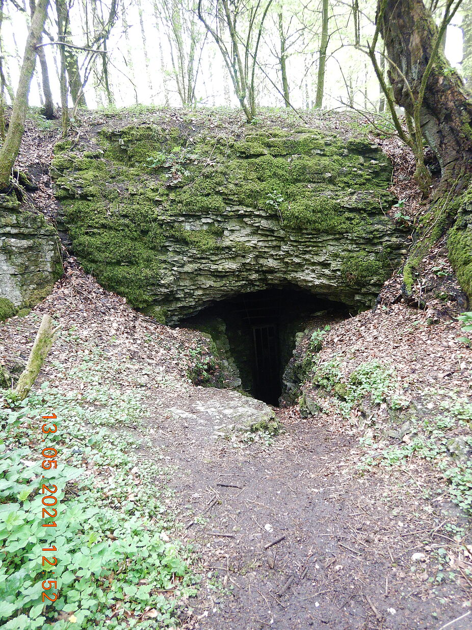 Teutoburger Wald - Hohlsteinhöhle, ein versteckte Naturbiotop Teutoburger Wald - Hohlsteinhöhle, ein versteckte Naturbiotop