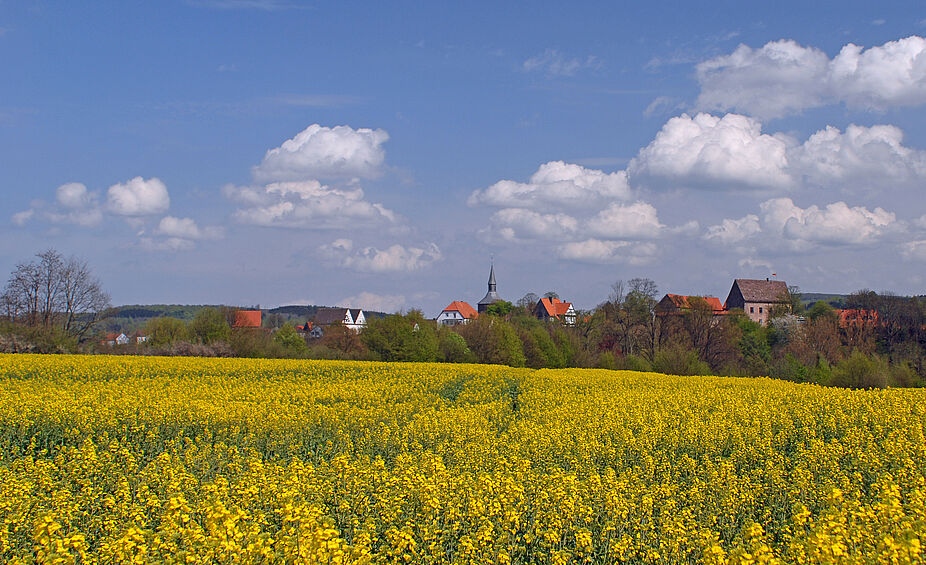 Blomberg, Panorama Frühjahr Altstadt Blomberg Panoramablick auf die historische Altstadt Blomberg