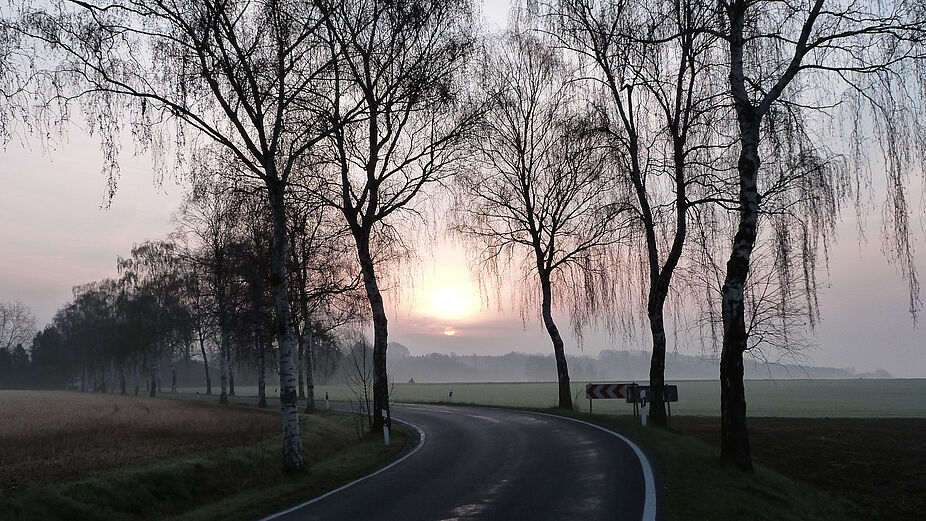 Lippische Allenstraße - Radtour am Abend Lippische Allenstraße - Radtour am Abend