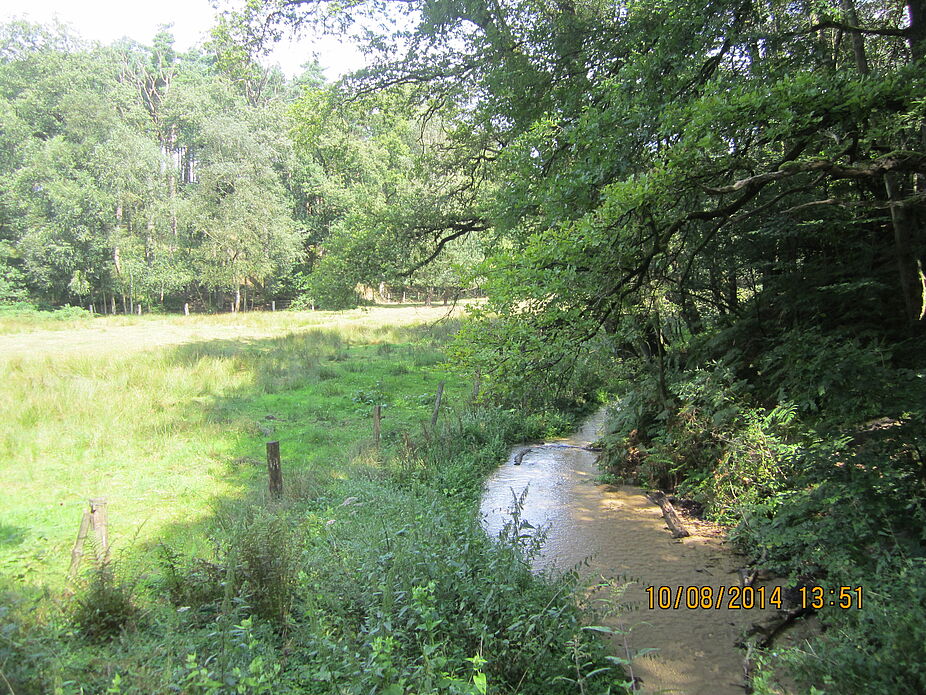 Augusdorf 1. Tour Ems-Bachlauf im NSG Moosheide Ems-Bachlauf im NSG Moosheide