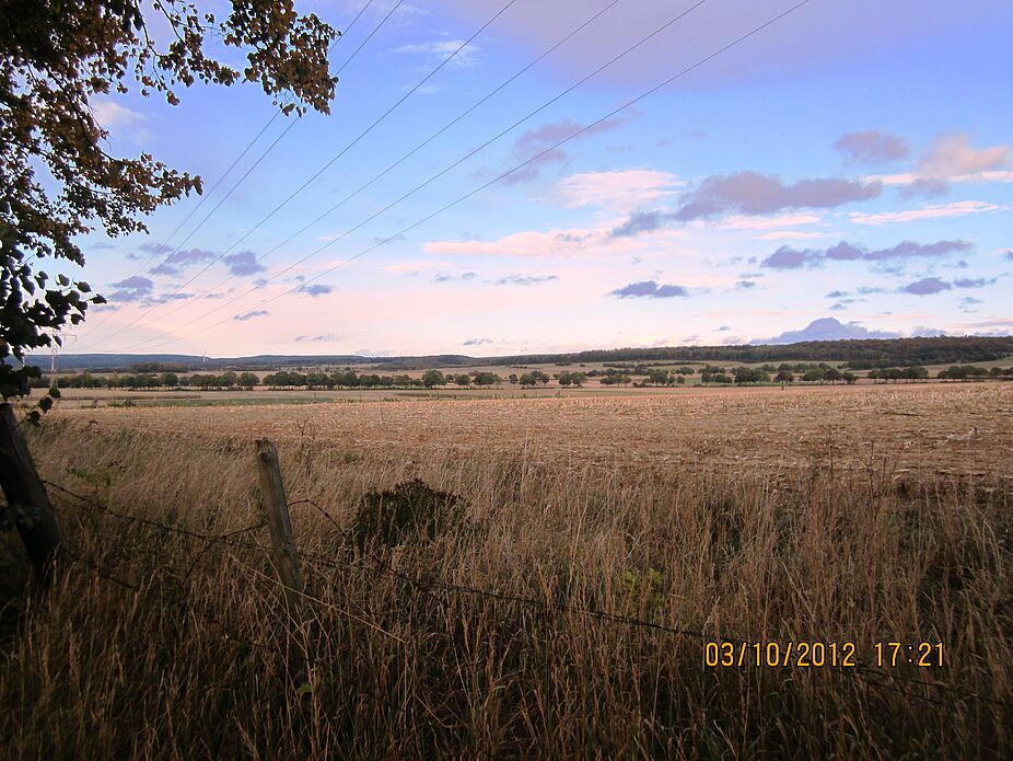 Schlangen vom Eggekam Schlangen vom Eggekamm, westliche Seite des Teutoburger Waldes