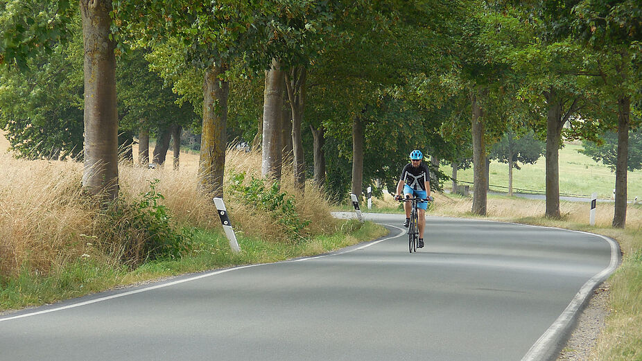 Lippische Alleenstraße Radgenuß - allein oder in der Gruppe Lippische Alleenstraße Radgenuß - allein oder in der Gruppe
