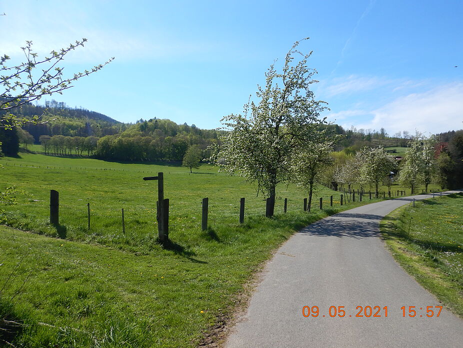 Lügde - Idyllischer Radweg hinauf durch das Eschenbachtal Lügde - Idyllischer Radweg hinauf durch das Eschenbachtal