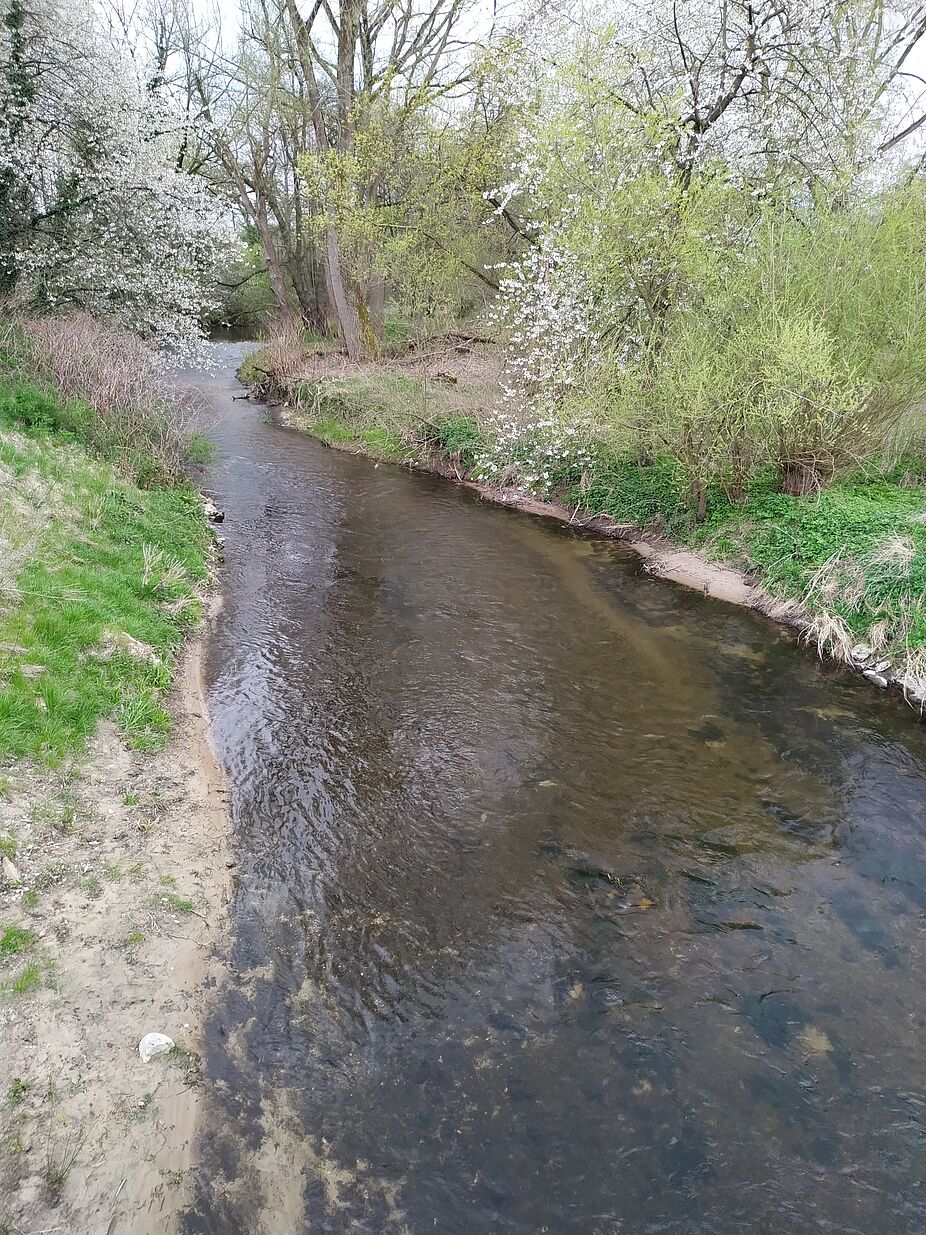 Detmold 2. Tour - Werretal nach Lage - Heiden - Werrebachlauf Der landschaftsprägende Fluß Werre im Bereich Heidenoldendorf