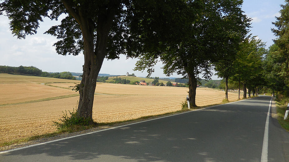 Lippische Alleenstraße Radgenuß - verkehrsarme Strecken Lippische Alleenstraße Radgenuß - verkehrsarme Strecken