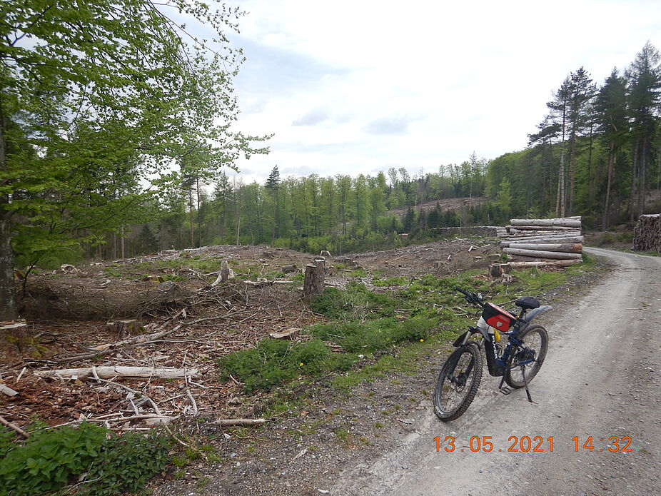 Teutoburger Wald - Klimawandel und abgestorbene Fichtenplantage Teutoburger Wald - Klimawandel und abgestorbene Fichtenplantage