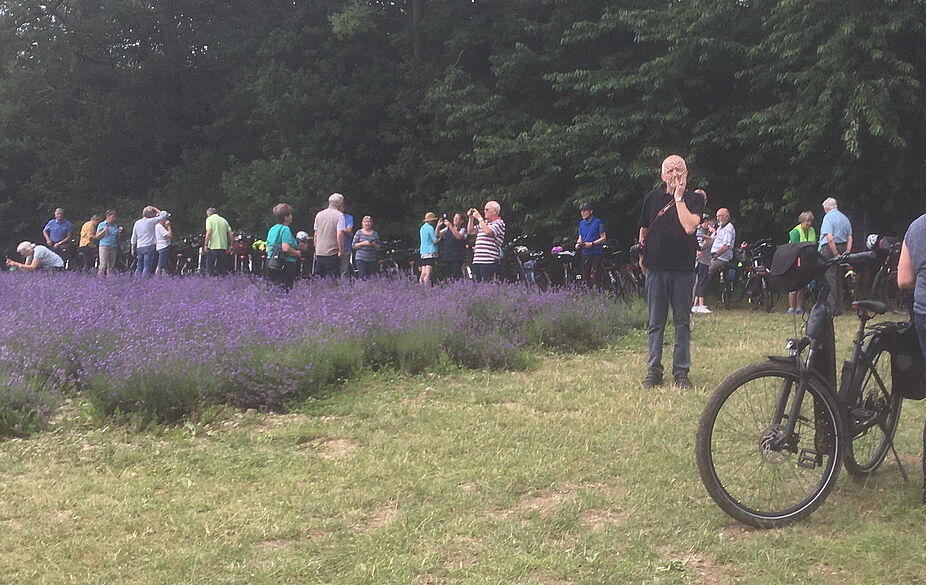 2021 07 adfc lemgo geführte radtour lavendelfeld ADFC-geführte Radtour zum Lavendelfeld in Fromhausen