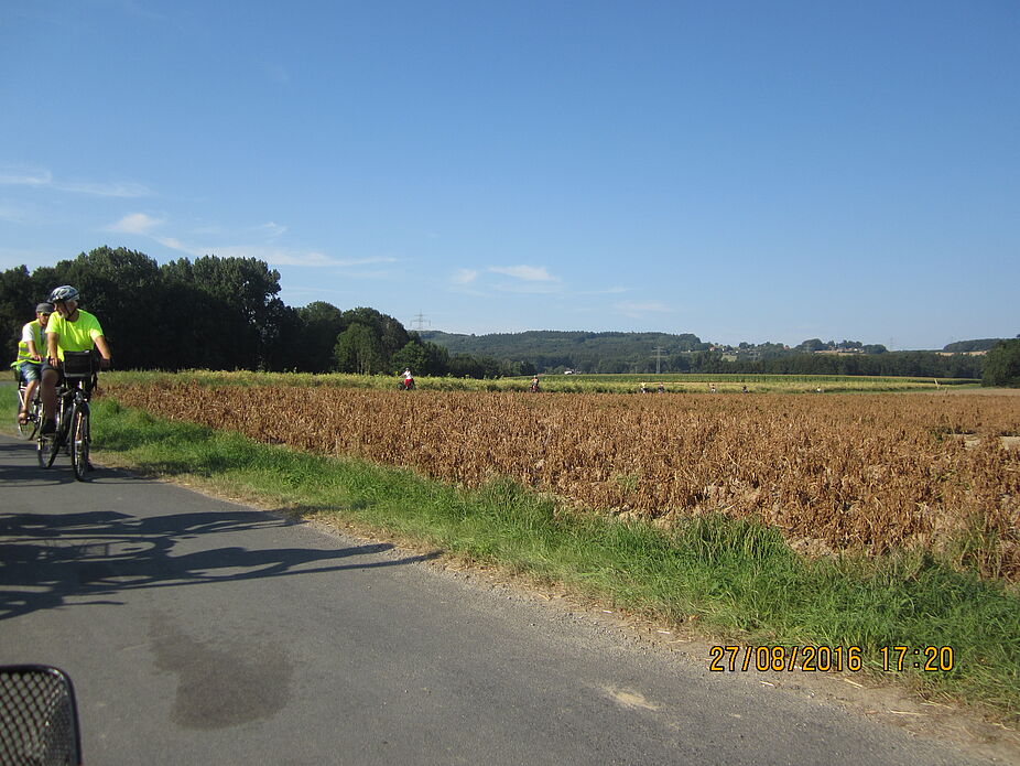 Auf kleinen Straßen im welligen Bauernland des Begatals Grüne Radwege durch die Felder und Wiesen des Werretales