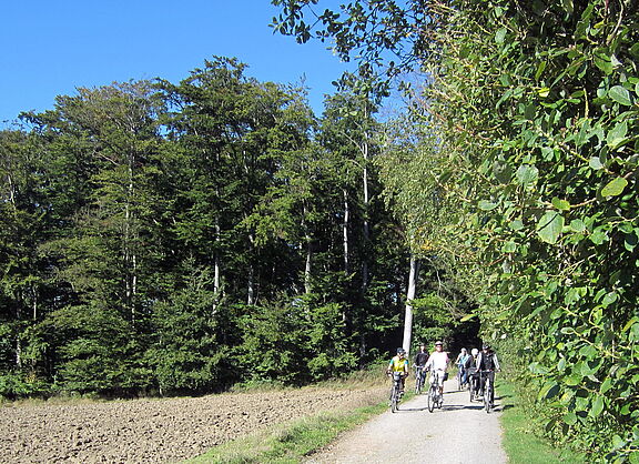 ADFC Lippe gesellige Ausfahrten durch Feld, Wald und Wiesen