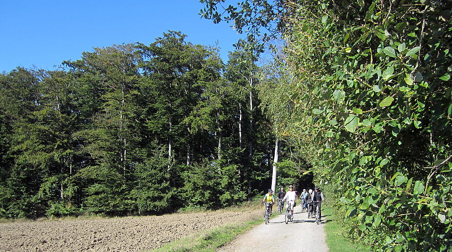 Radtouren von flach über leicht wellig bis anspruchsvoll ADFC Lippe gesellige Ausfahrten durch Feld, Wald und Wiesen