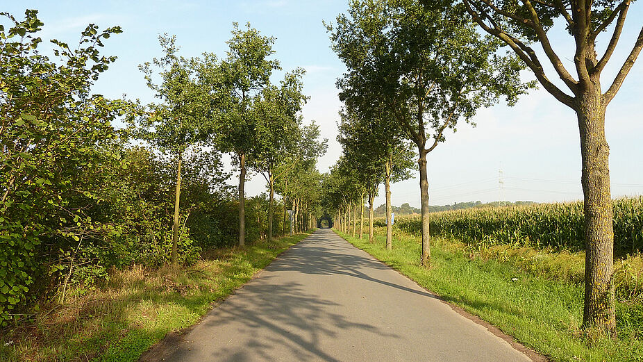 Lippische Alleenstraße Radgenuß - versteckte Wege Lippische Alleenstraße Radgenuß - versteckte Wege