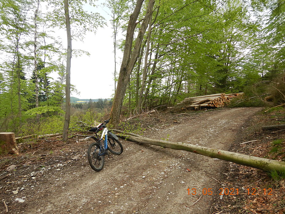 Teutoburger Wald - Silberbachtal, aktuelle Veränderungen im Landschaftsbild Teutoburger Wald - Silberbachtal, aktuelle Veränderungen im Landschaftsbild